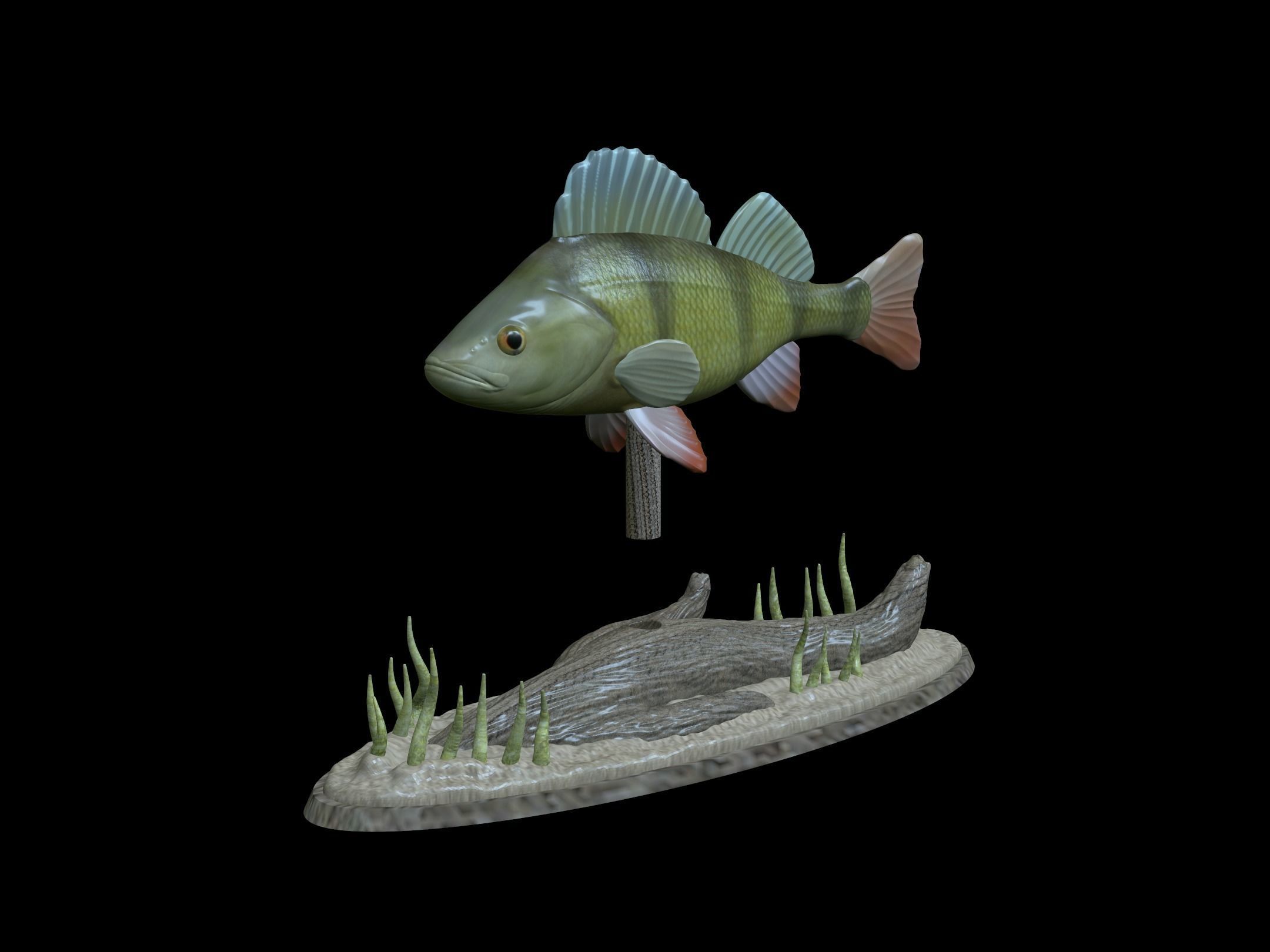 BIG PERCH UNDERWATER STATUE DETAILED TEXTURE FOR 3D PRINTING 3D print model_15