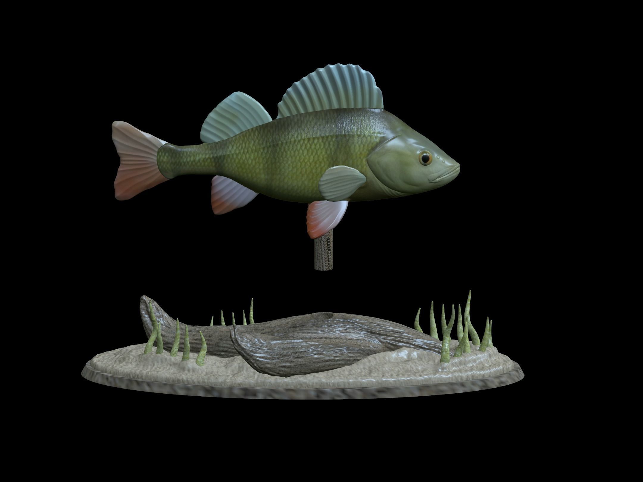 BIG PERCH UNDERWATER STATUE DETAILED TEXTURE FOR 3D PRINTING 3D print model_6
