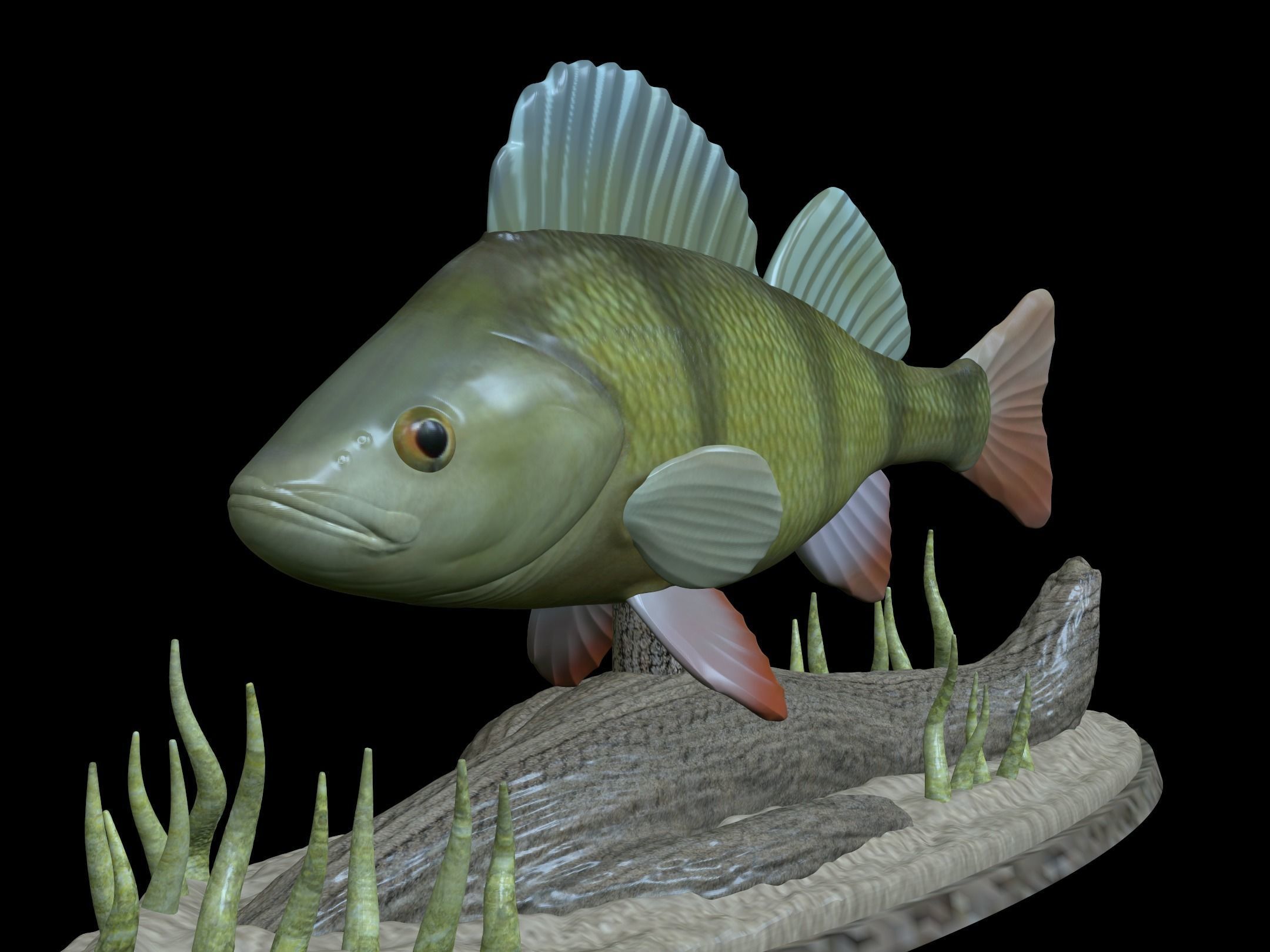 BIG PERCH UNDERWATER STATUE DETAILED TEXTURE FOR 3D PRINTING 3D print model_3