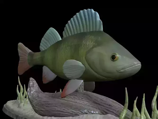 BIG PERCH UNDERWATER STATUE DETAILED TEXTURE FOR 3D PRINTING