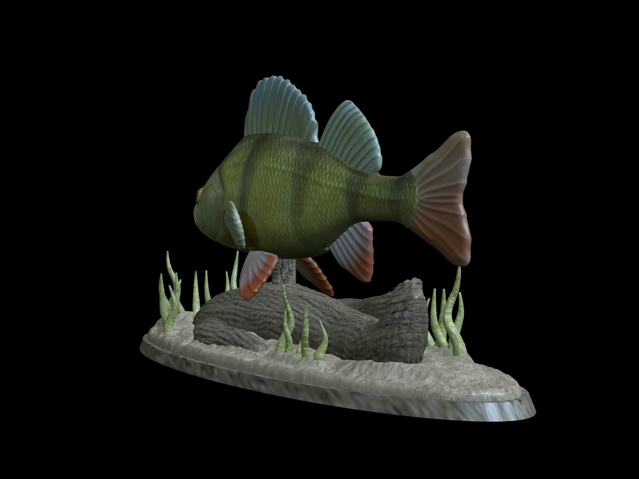 BIG PERCH UNDERWATER STATUE DETAILED TEXTURE FOR 3D PRINTING 3D print model_2