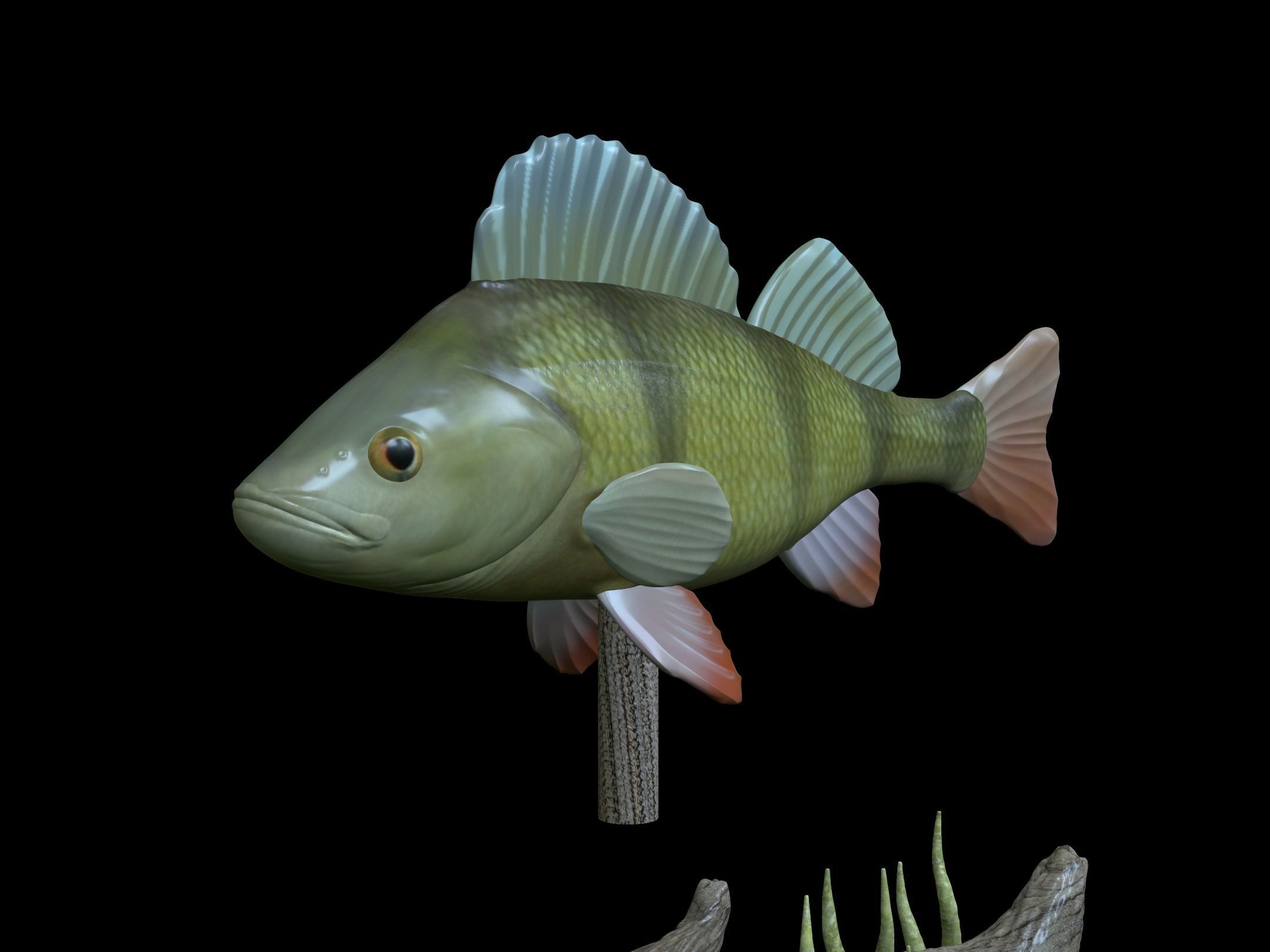 BIG PERCH UNDERWATER STATUE DETAILED TEXTURE FOR 3D PRINTING 3D print model_4