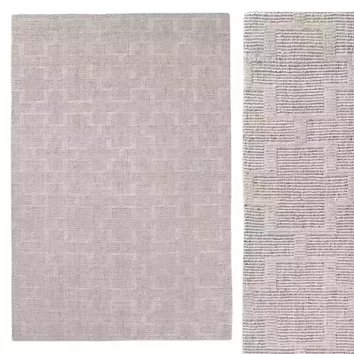 DAMINI PERFORMANCE RUG