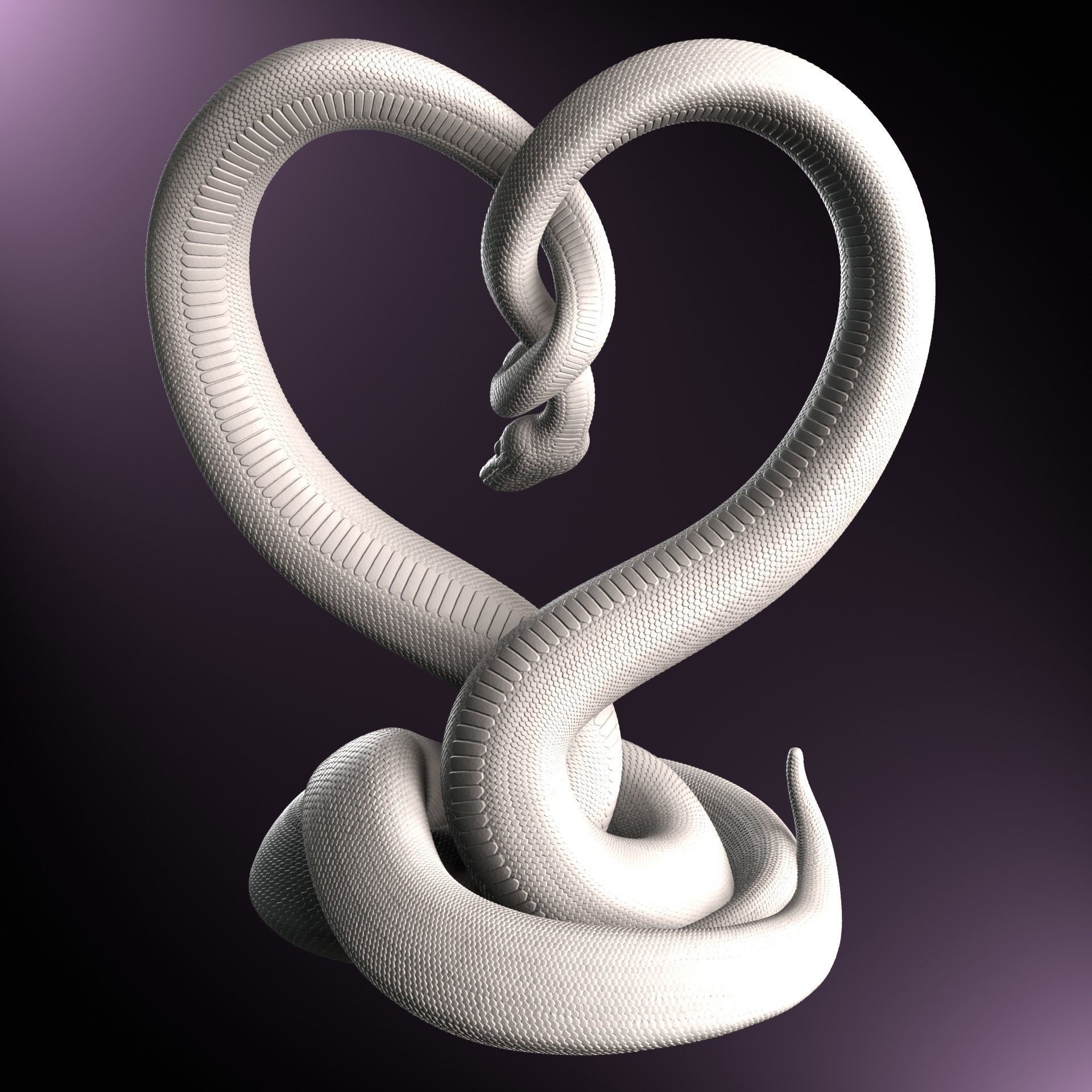 Valentines Day Ball Python Heart 3D Print Model 3D print model_2