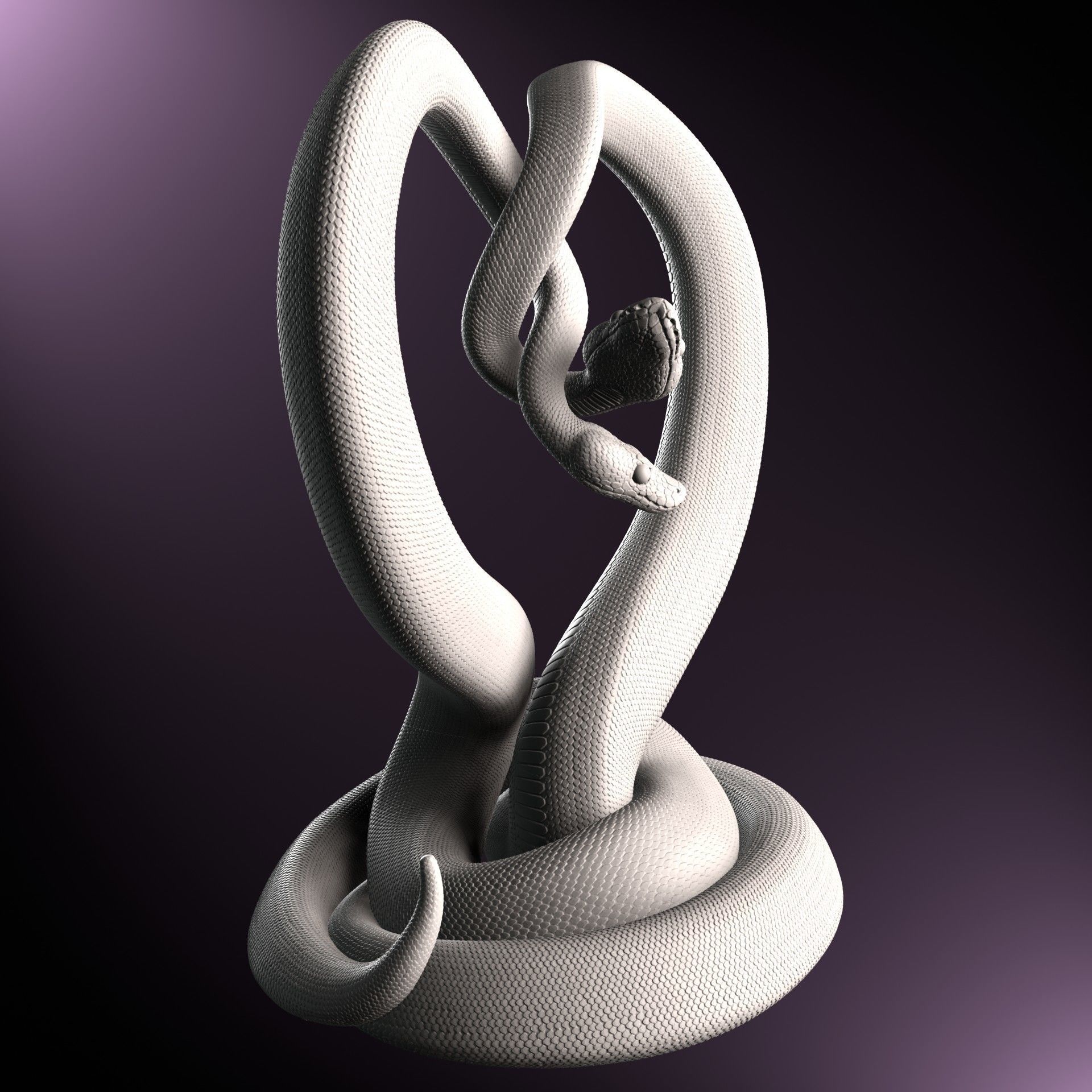 Valentines Day Ball Python Heart 3D Print Model 3D print model_4