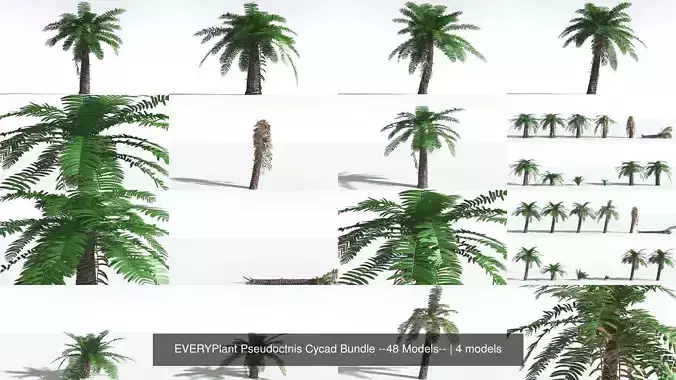 EVERYPlant Pseudoctnis Cycad Bundle --48 Models-- 3D Model Collection