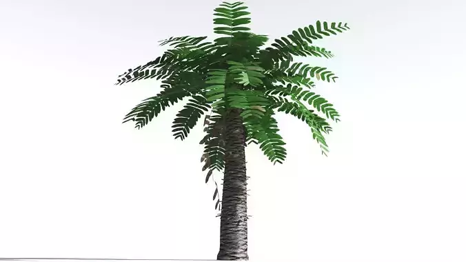 EVERYPlant Pseudoctnis Cycad LowPoly 1 --12 Models-- Low-poly 3D model