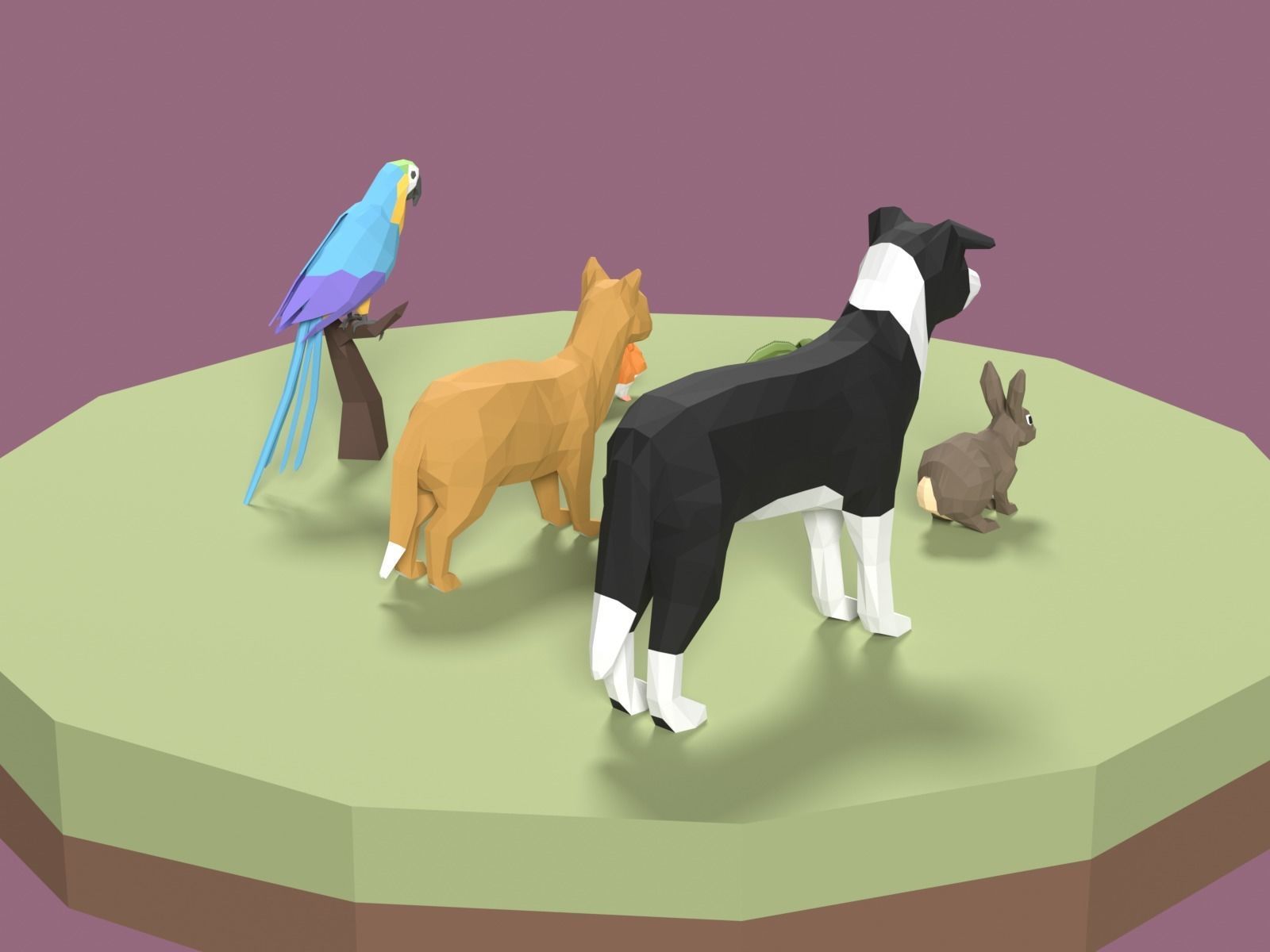 Stylized Pet animals pack Low-poly 3D model_3