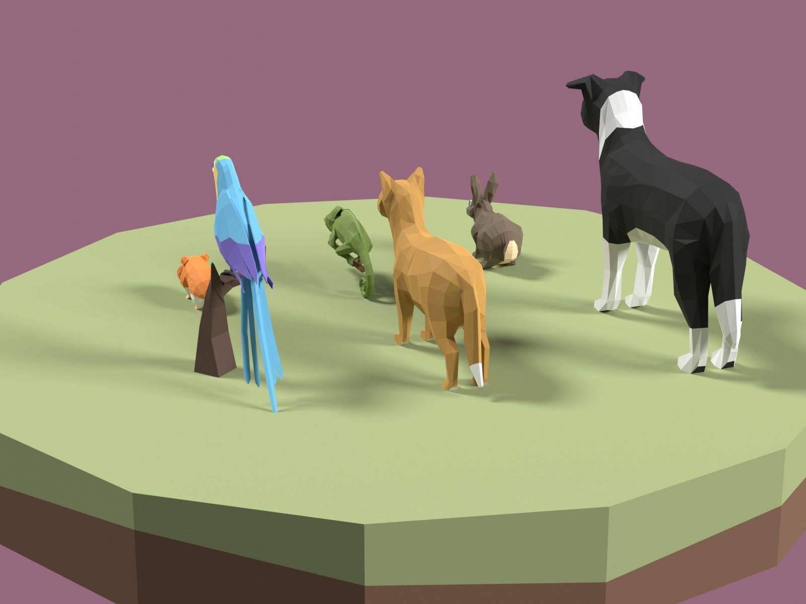 Stylized Pet animals pack Low-poly 3D model_2