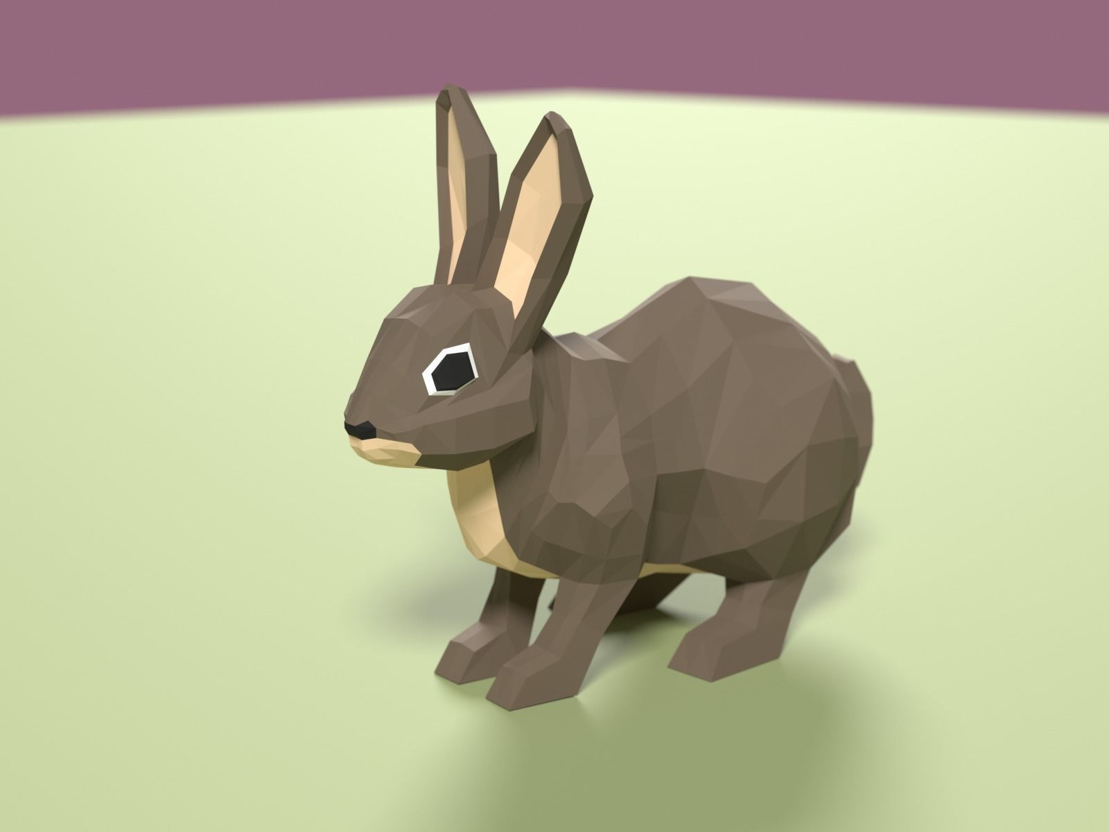Stylized Pet animals pack Low-poly 3D model_11