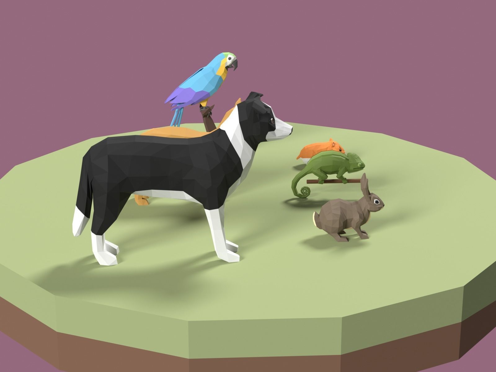 Stylized Pet animals pack Low-poly 3D model_4