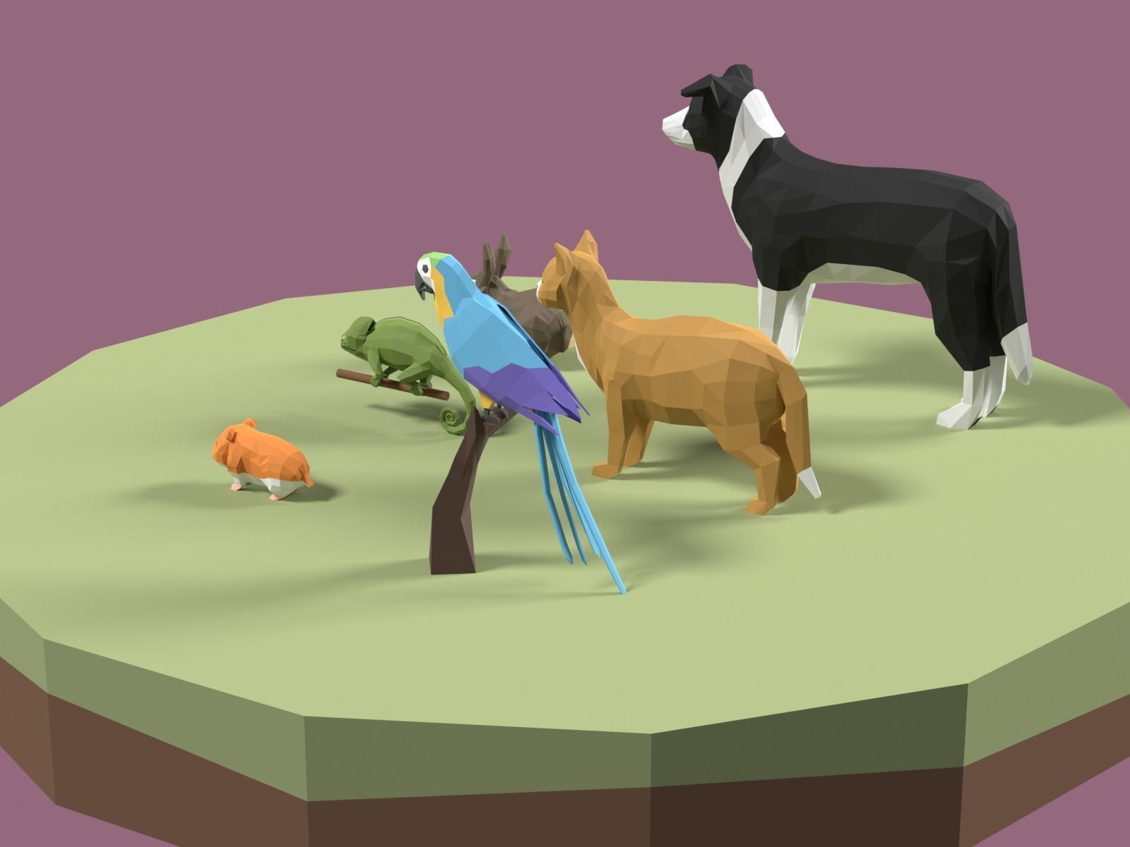 Stylized Pet animals pack Low-poly 3D model_1