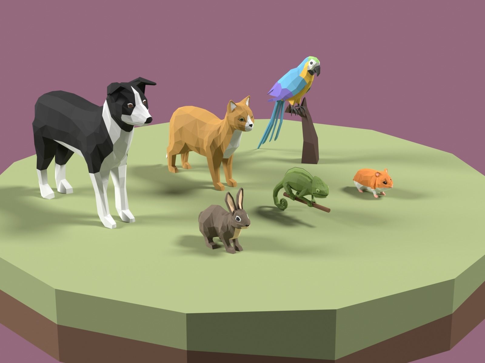 Stylized Pet animals pack Low-poly 3D model_5