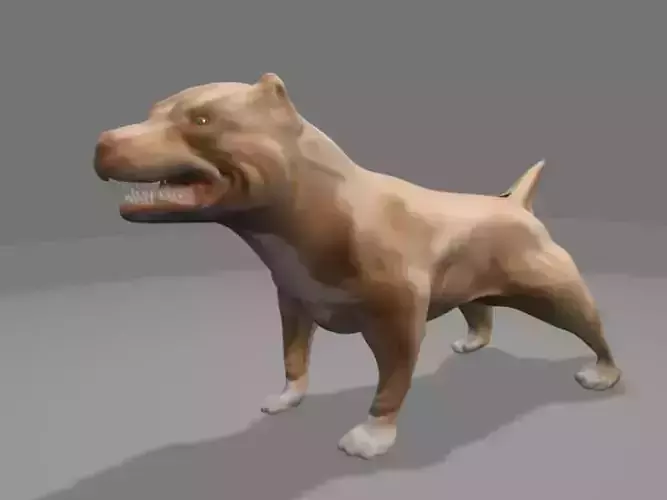 Pit Bull Dog 3d Model 