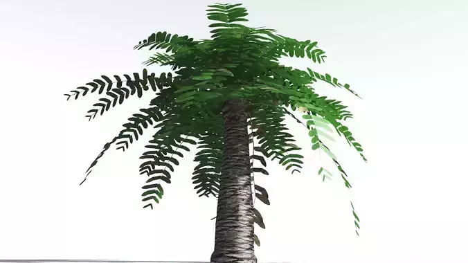 EVERYPlant Pseudoctnis Cycad LowPoly 2 --12 Models-- Low-poly 3D model