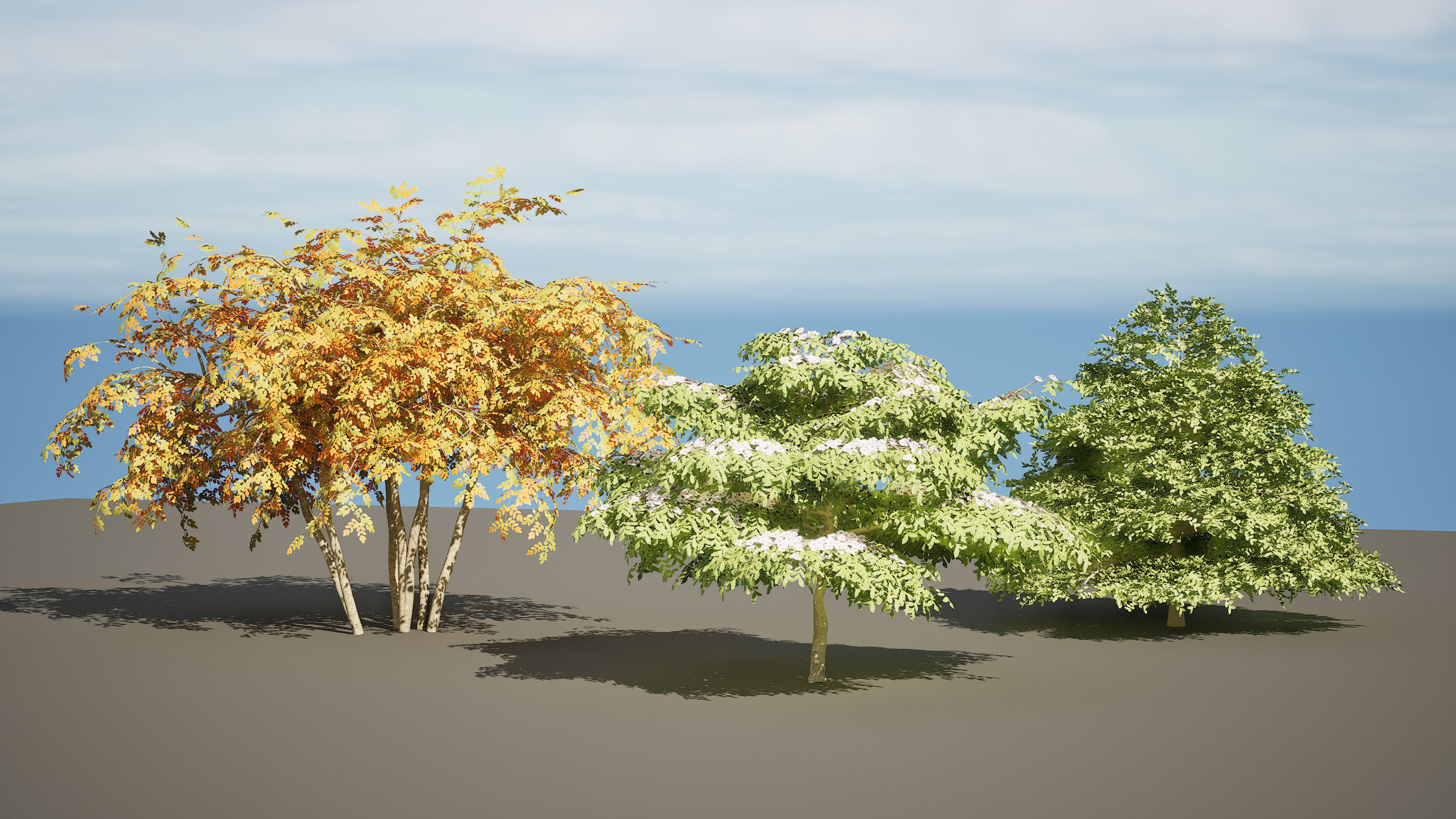 3 Season pagoda dogwood Trees Low-poly 3D model_2