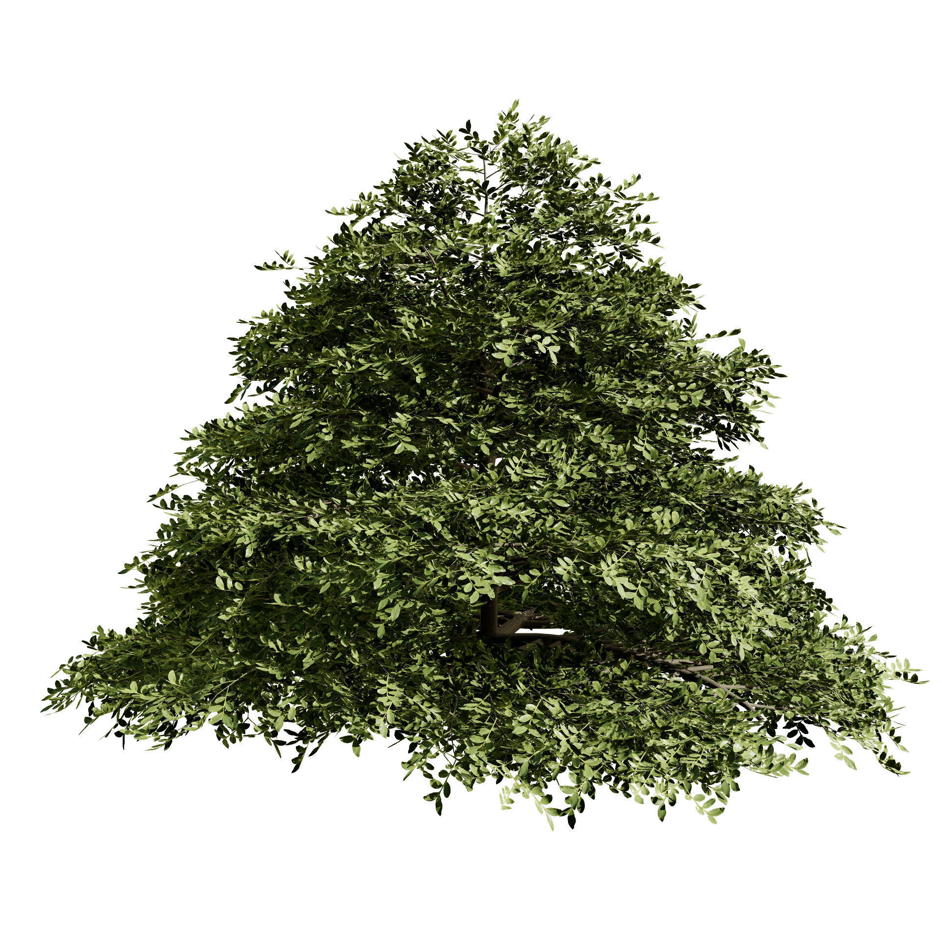 3 Season pagoda dogwood Trees Low-poly 3D model_7