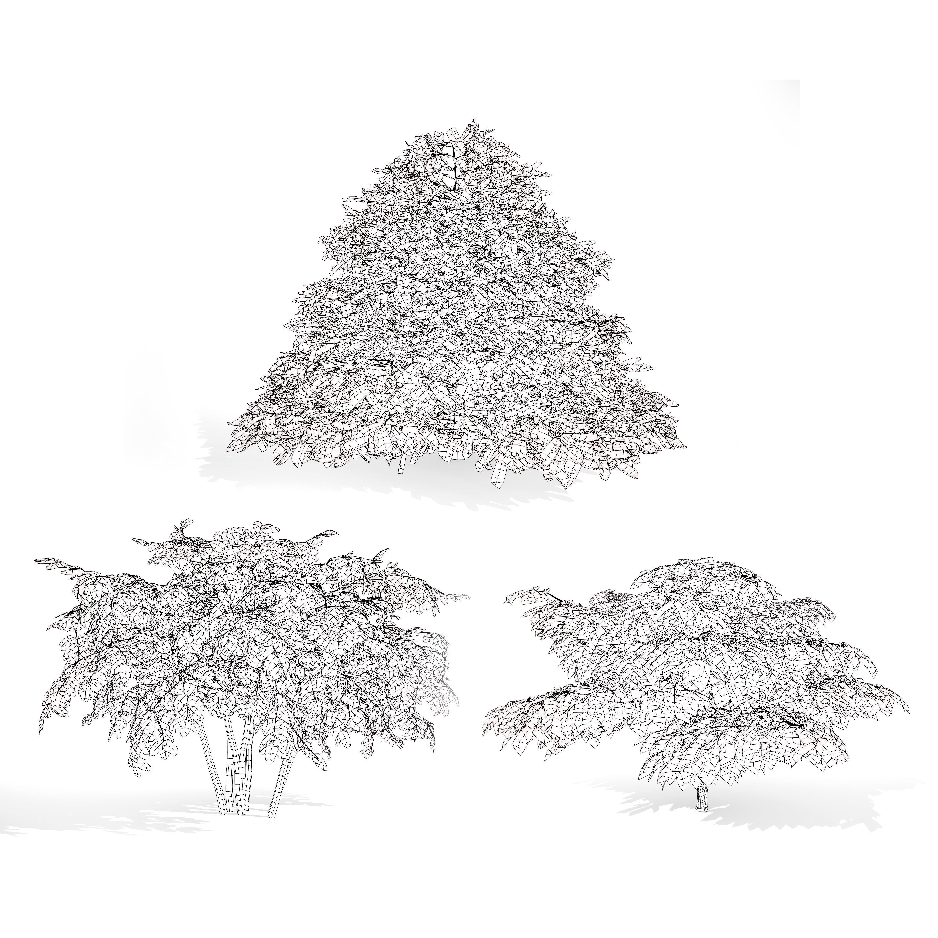 3 Season pagoda dogwood Trees Low-poly 3D model_13