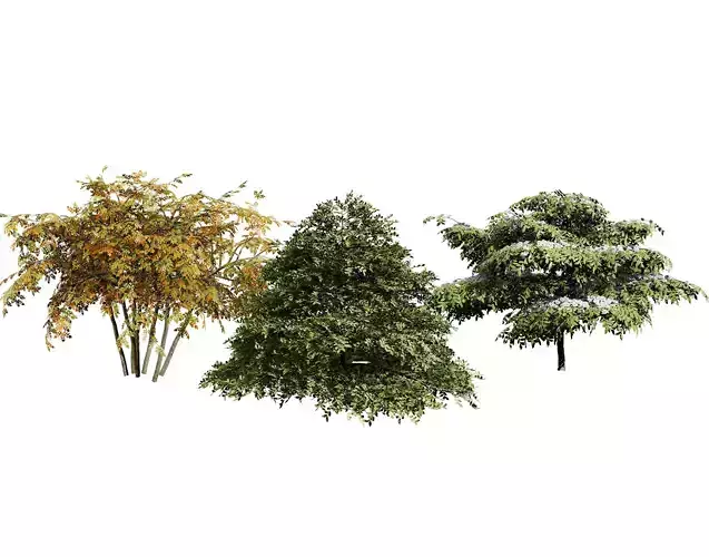 3 Season pagoda dogwood Trees Low-poly 3D model
