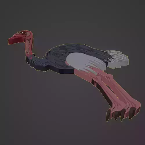 ostrich animal cartoon