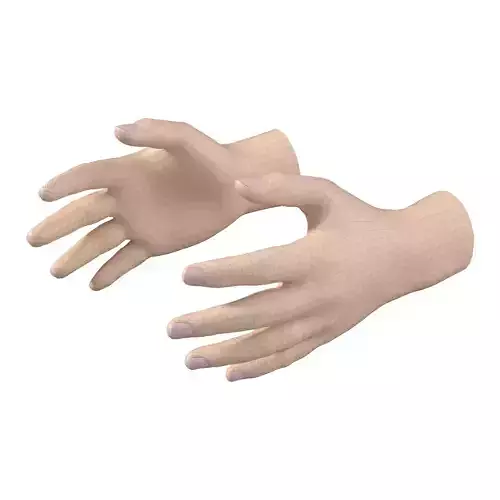 Male Hand Base Mesh 01 3D model