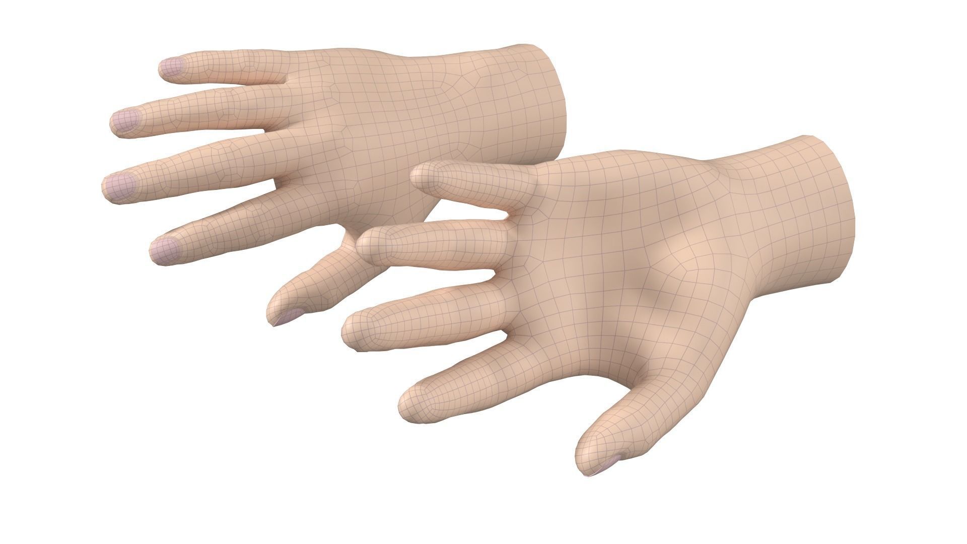 Male Hand Base Mesh 01 3D model | CGTrader