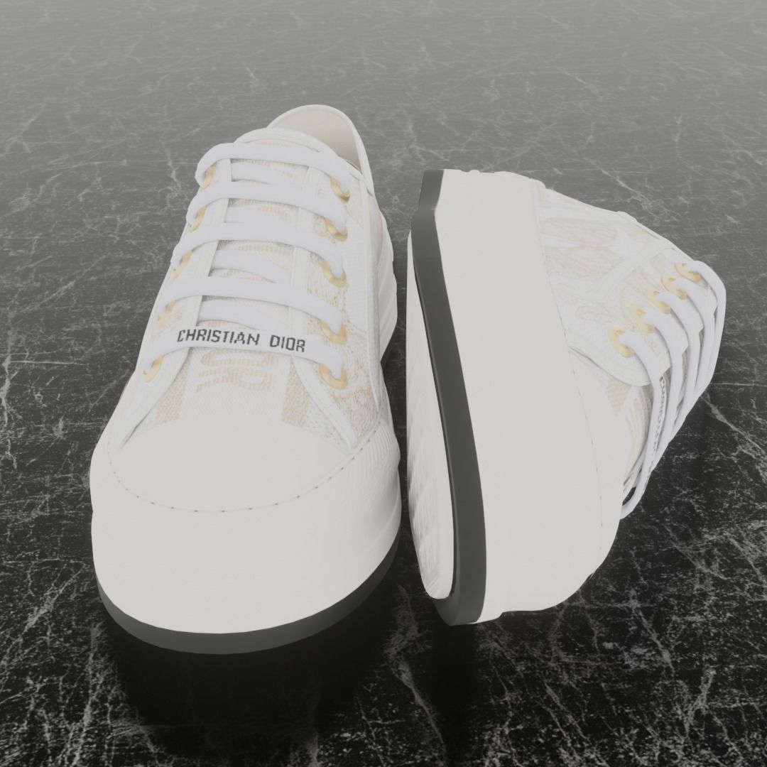 CHRISTIAN DIOR 3D SHOES - WHITE Low-poly 3D model_3