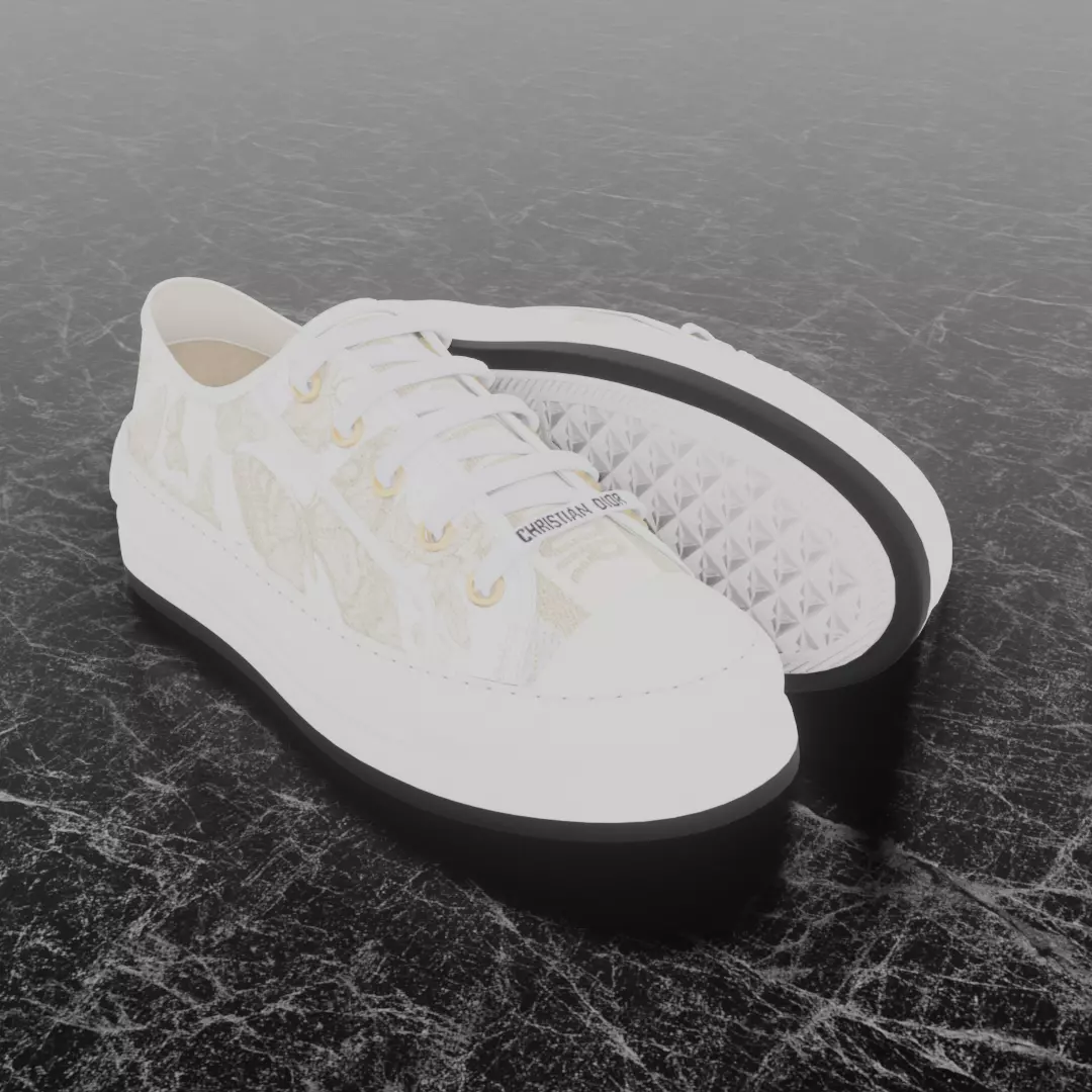CHRISTIAN DIOR 3D SHOES - WHITE Low-poly 3D model_0