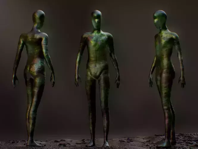 The Shimmer Low-poly 3D model