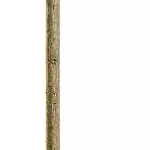 Branch Seamless Texture 2K - EXR 5 - JPG 5 Texture