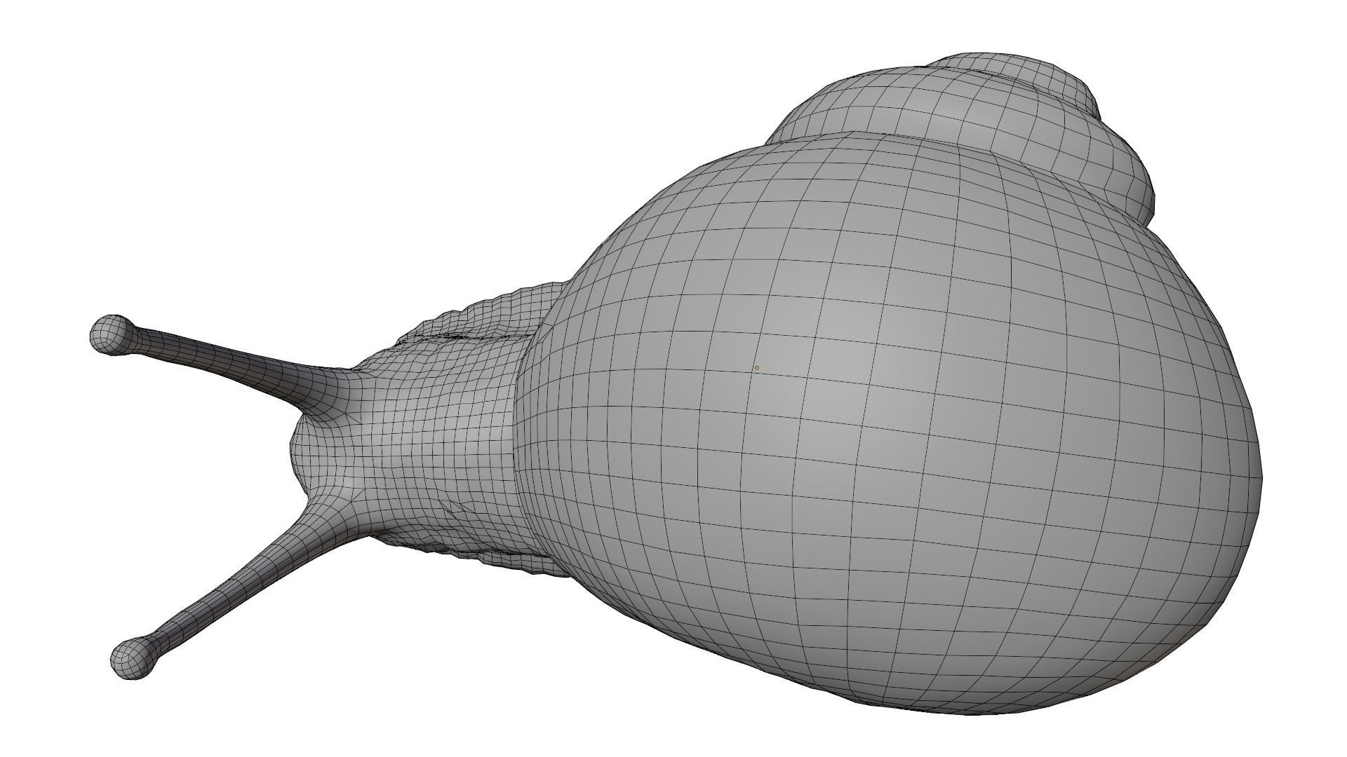Snail 3D model_17