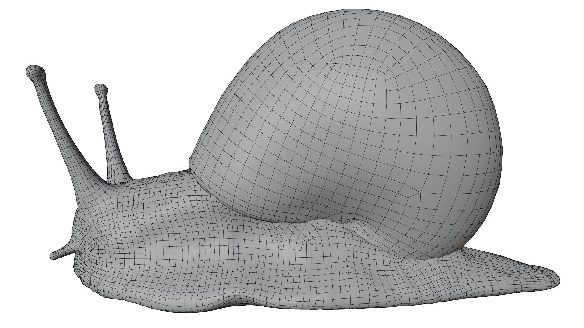Snail 3D model_10