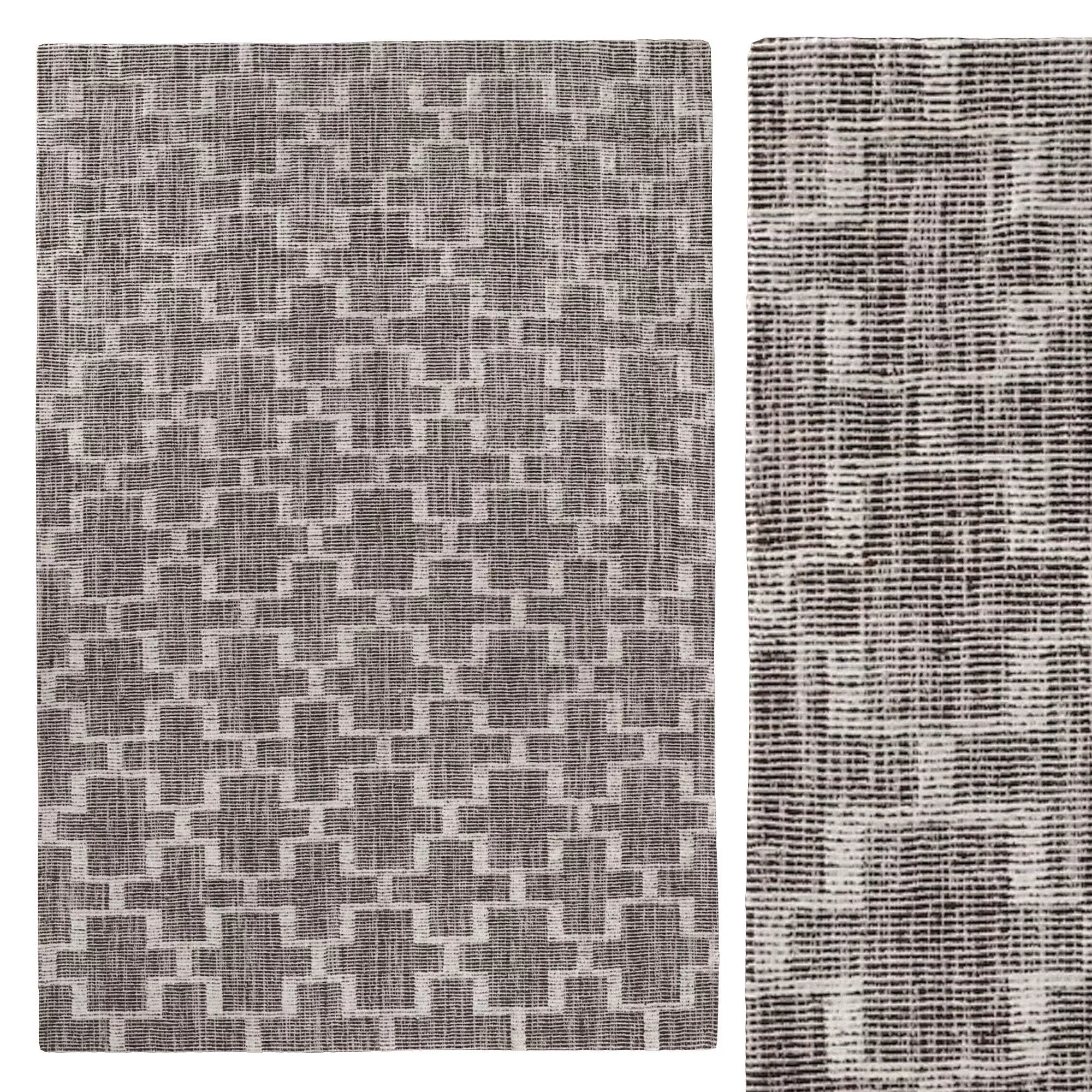 DAMINI PERFORMANCE RUG Brown 3D model_0