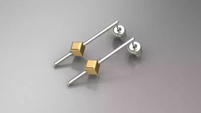 Earrings 17