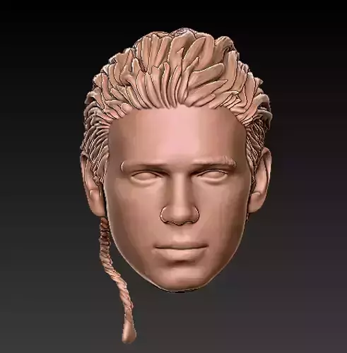 STAR WARS ANAKIN SKYWALKER ATTACK OF THE CLONES HEADSCULPT 3D print model