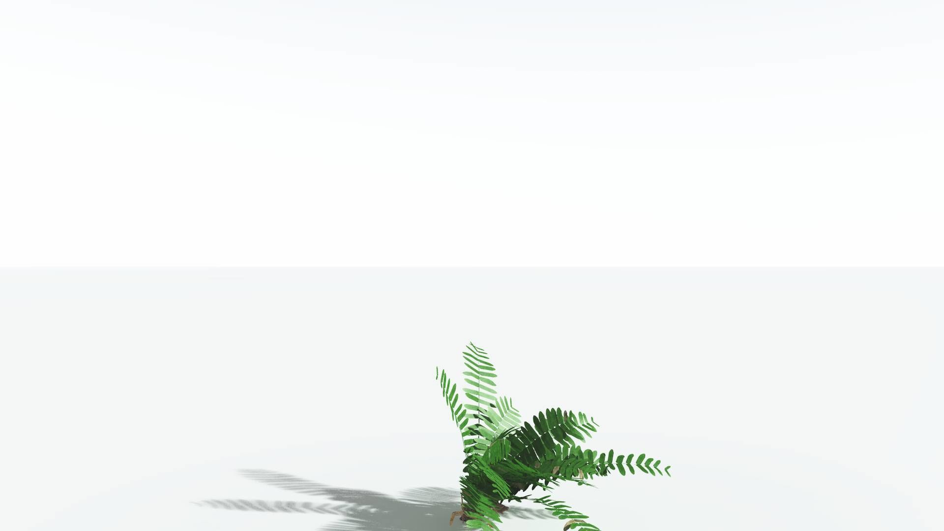 EVERYPlant Pseudoctnis Cycad LowPoly 3 --12 Models-- Low-poly 3D model_18