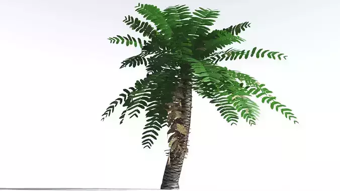 EVERYPlant Pseudoctnis Cycad LowPoly 3 --12 Models-- Low-poly 3D model