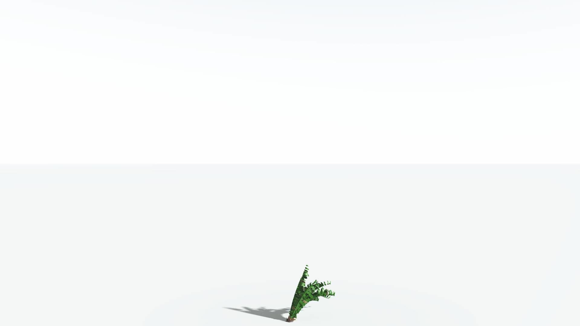 EVERYPlant Pseudoctnis Cycad LowPoly 4 --12 Models-- Low-poly 3D model_20