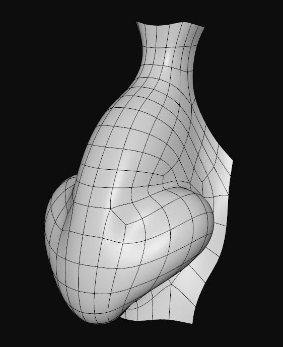 Nose model 3D model_5