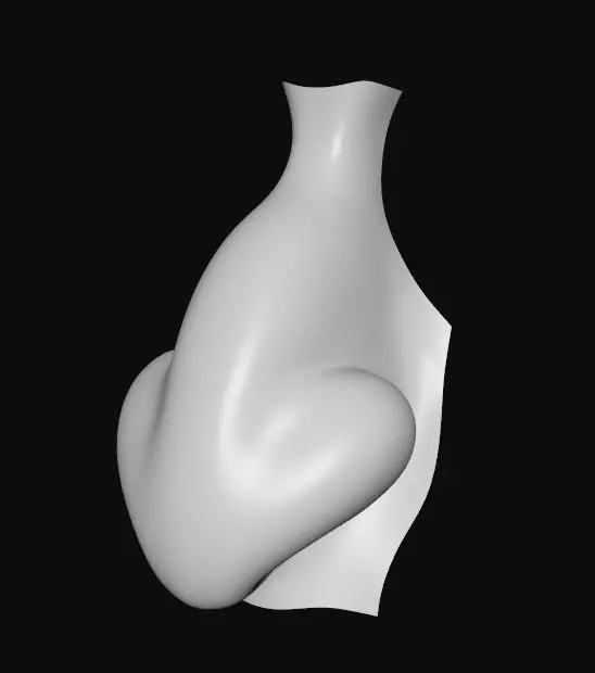 Nose model 3D model_0