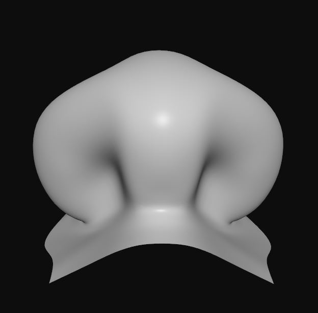 Nose model 3D model_4