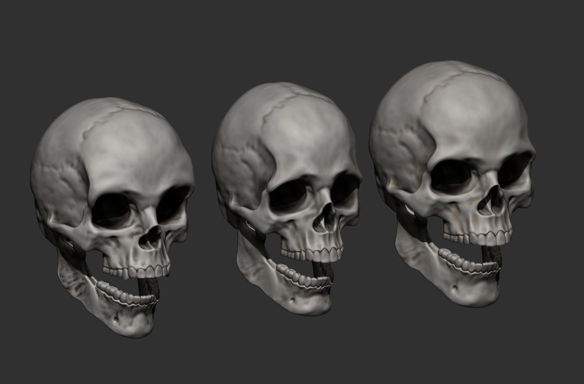 skull with different facial expressions 3D print model v2 3D print model_3