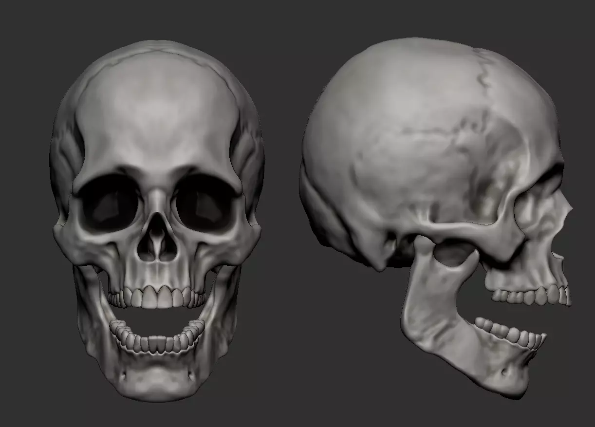 skull with different facial expressions 3D print model v2 3D print model_0