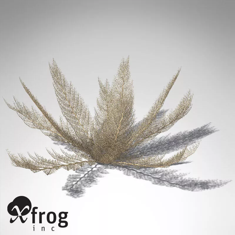 XfrogPlants Basket Star 3D model