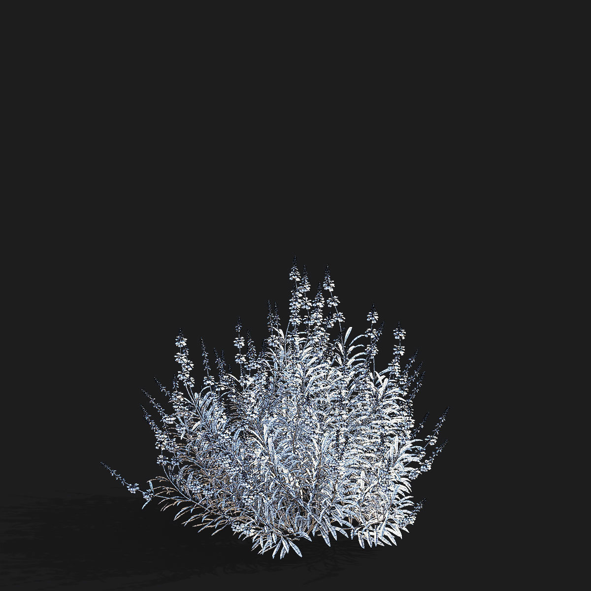 Salvia azurea flower 3D model_10