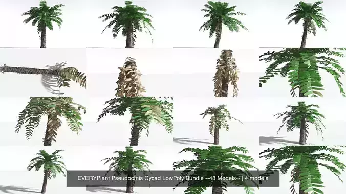 EVERYPlant Pseudoctnis Cycad LowPoly Bundle --48 Models-- 3D Model Collection