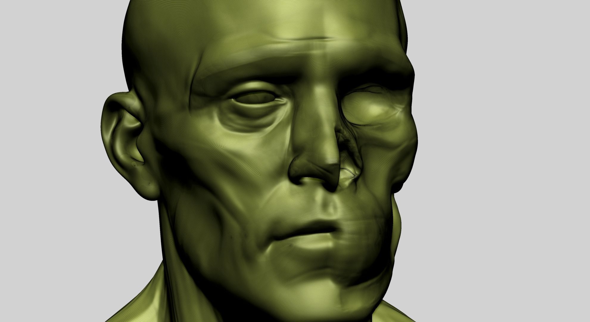 Male Head Anatomy A 3D model_8