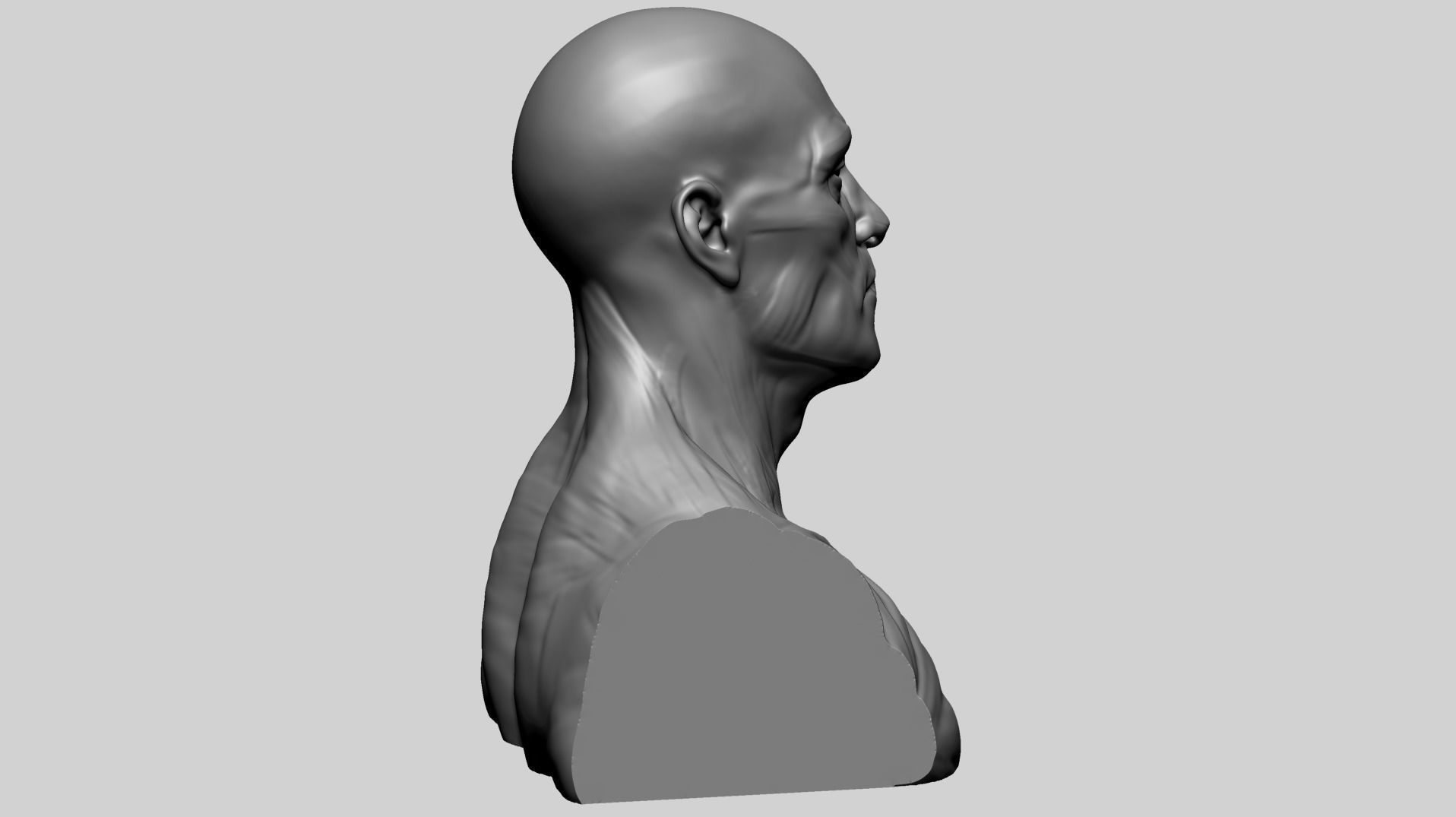 Male Head Anatomy A 3D model_4