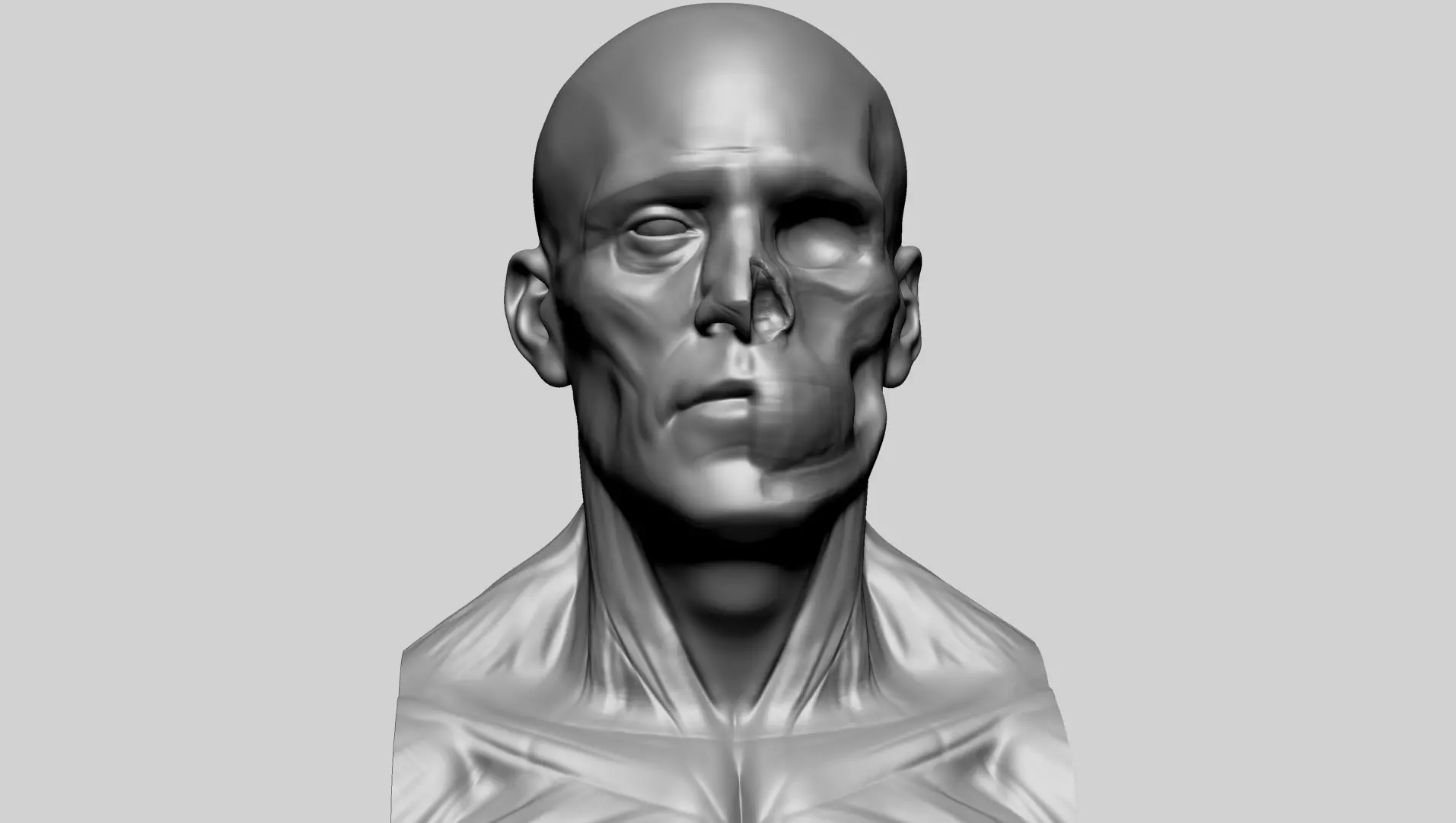 Male Head Anatomy A 3D model_0