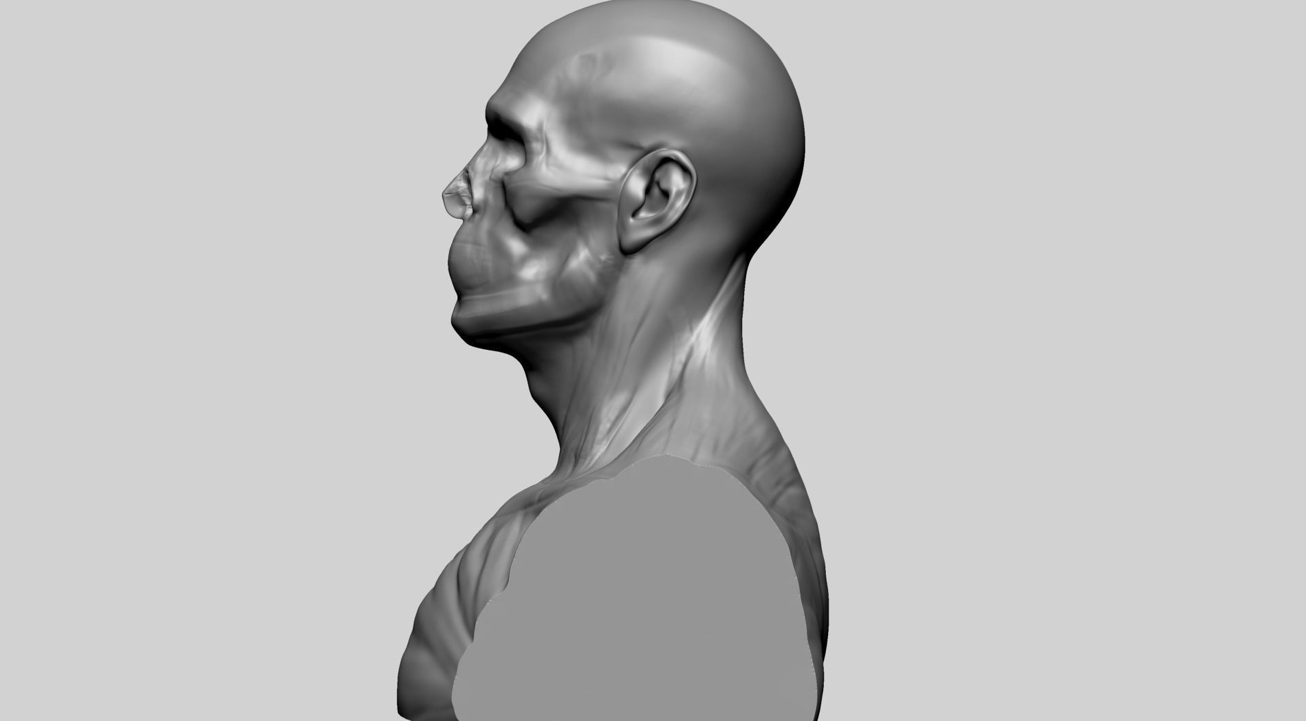 Male Head Anatomy A 3D model_6